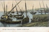 Bilhete postal de ilustrado Lisboa, Barcos de pesca no tejo | Portugal em postais antigos