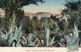 Bilhete postal ilustrado do Caslelo visto do Jardim Botânico, Lisboa | Portugal em postais antigos