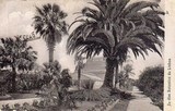 Bilhete postal ilustrado do Jardim Botânico de Lisboa | Portugal em postais antigos
