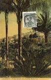 Bilhete postal ilustrado da vista tirada do Jardim Botânico, Lisboa | Portugal em postais antigos
