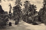 Bilhete postal ilustrado do Jardim Botânico, Lisboa, | Portugal em postais antigos