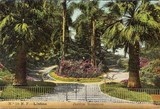 Bilhete postal ilustrado do bilhete postal do Jardim Botânico, Lisboa | Portugal em postais antigos