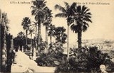 Bilhete postal de Lisboa : Jardim São Pedro de Alcântara - 16  | Portugal em postais antigos