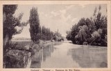 Bilhete postal antigo de Tomar : Margens do Rio Nabão | Portugal em postais antigos