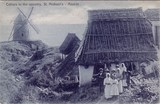 Bilhete postal de Caves no campo, São Miguel, Açores | Portugal em postais antigos