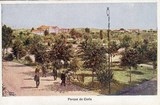 Bilhete postal antigo de Anadia, Parque da Curia | Portugal em postais antigos