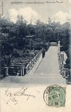 Bilhete postal ilustrado de Coimbra, Portugal: Jardim Botânico, rua das Tylias.