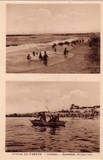 Bilhete postal ilustrado de Póvoa de Varzim: Costumes, apanhando sargaço | Portugal em postais antigos
