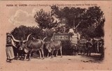Bilhete postal ilustrado de Póvoa de Varzim: Festas d'Assunção | Portugal em postais antigos