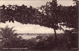 Bilhete postal ilustrado de São Tomé e Principe, Aspeto interessante da Cidade | Portugal em postais antigos