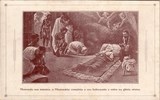 Bilhete postal ilustrado das Missões Cucujães no Ultramar, O Missionário completa o seu holocausto | Portugal em postais antigos 