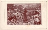 Bilhete postal ilustrado das Missões Cucujães no Ultramar, O Missionário é o representante da civilização  | Portugal em postais antigos 