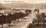 Bilhete postal ilustrtado de Setúbal, Avenida Luisa Todi | Portugal em postais antigos