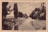 Bilhete postal antigo de Tomar, Margens do rio Nabão | Portugal em postais antigos