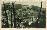 Bilhete postal antigo de Tondela, Caramulo- Faldas da Serra | Portugal em postais antigos